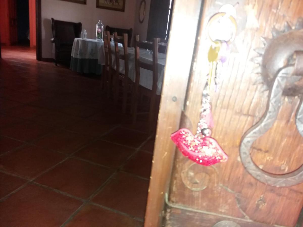 Casa Rural La Noria Los Palacios Y Villafranca Εξωτερικό φωτογραφία